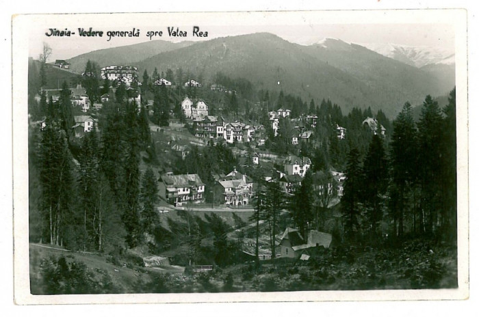 1835 - SINAIA, Prahova, Valea REA - old postcard, real foto - used - 1939