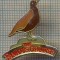 1610 INSIGNA - THE FAMOUS GROUSE -FIRMA RENUMITA DE WHISKY SCOTIAN -starea care se vede
