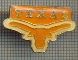 1627 INSIGNA - TEXAS - STATELE UNITE ALE AMERICII -starea care se vede