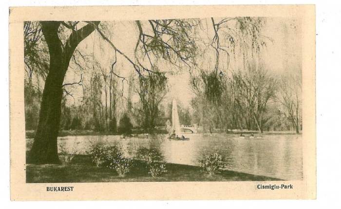 794 - BUCURESTI, Cismigiu Park - old postcard - unused