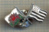 1563 INSIGNA INTERESANTA -DOUA DRAPELE INCRUCISATE -SIMBOL DE FIRMA -starea care se vede