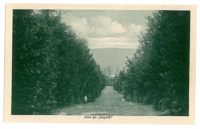 326 - Rm. VALCEA, Alee pe Capela - old postcard - unused foto