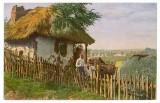 1683 - ETHNIC, country life - old postcard - unused