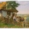 1683 - ETHNIC, country life - old postcard - unused