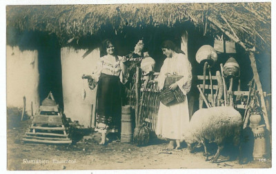 1688 - ETHNIC women, country life - old postcard, real PHOTO - unused foto
