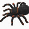 spider paianjen cu telecomanda marima mare la 22cm