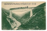 597 - APOLDUL de SUS, Sibiu, train on the bridge - old postcard - unused, Necirculata, Printata