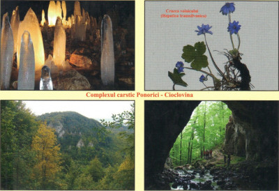 Carte postala CP HD037 Rezervatia naturala Complexul carstic Ponorici-Cioclovina - Colaj - necirculata foto