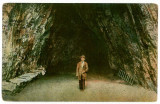 603 - Baile HERCULANE, Cave and little man - old postcard - used, Circulata, Printata