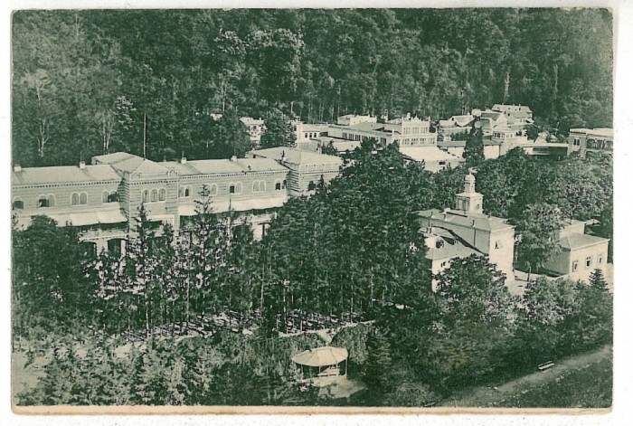 593 - Baile HERCULANE, Panorama - old postcard - used - 1908