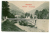 605 - Baile HERCULANE, bridge - old postcard - used - 1908, Circulata, Printata