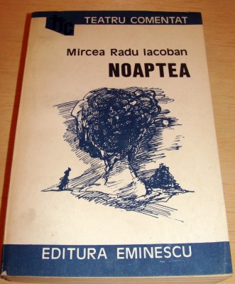 NOAPTEA - Mircea Radu Iacoban foto