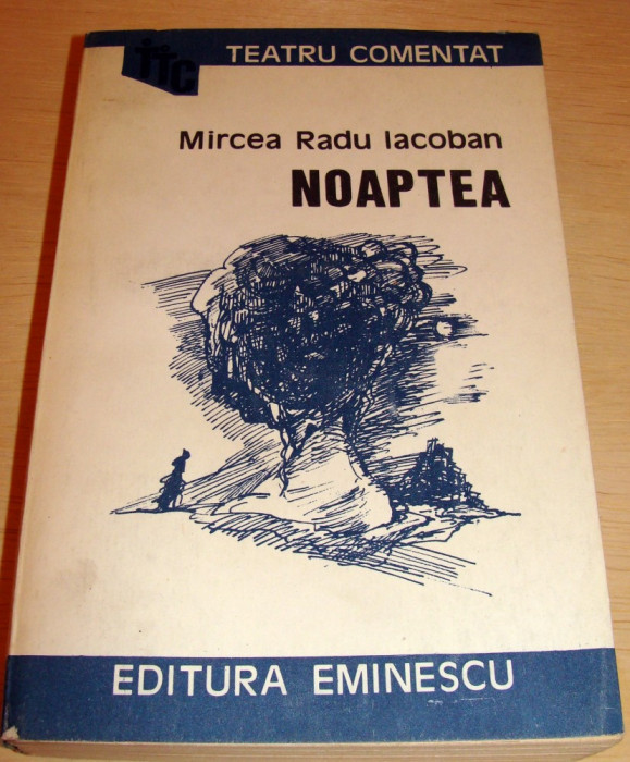 NOAPTEA - Mircea Radu Iacoban
