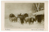 18 - Picture, Th. AMAN - Car cu boi in zapada - old postcard - unused, Necirculata, Printata