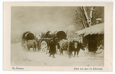 18 - Picture, Th. AMAN - Car cu boi in zapada - old postcard - unused foto