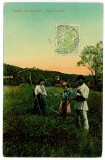143 - ETHNIC, country life, at mowing - old postcard - used - TCV - 1913