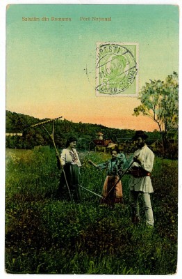 143 - ETHNIC, country life, at mowing - old postcard - used - TCV - 1913 foto