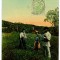 143 - ETHNIC, country life, at mowing - old postcard - used - TCV - 1913