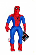 Spiderman - Eroul preferat! foto