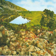 Carte postala CP HD043 Parcul National Retezat - Lacul Gemenele - Diorama - necirculata