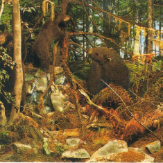 Carte postala CP HD047 Parcul National Retezat - Ursul brun - Diorama - necirculata