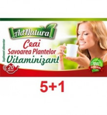 Ceai savoarea plantelor vitaminizant 20 plicuri 5+1 gratis AdNatura Adserv foto