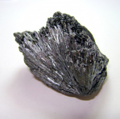 3. FLORI DE MINA (fosile, roci, minerale), 6 x 4.5 cm foto