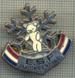 1711 INSIGNA SPORTURI DE IARNA - E.S.F. JARDIN D&#039;ENFANTS - SCOALA DE SKI FRANCEZA -PENTRU COPII-starea care se vede