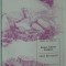 REMUS VALERIU GIORGIONI - NORUL DE MARTORI: DIZERTATII POETICE (VERSURI, editia princeps - 1996) [exemplar semnat de catre autor]