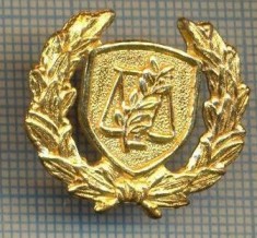 1747 INSIGNA - SIMBOLUL JUSTITIEI - BALANTA SI RAMURA DE MASLIN - starea care se vede foto