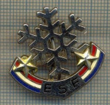 1726 INSIGNA SPORTURI DE IARNA - E.S.F. - SCOALA DE SKI FRANCEZA -starea care se vede