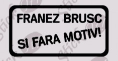 Franez Brusc si Fara Motiv_Sticker Auto_Tuning_CSTA-511-Dimensiune: 15 cm. X 7.5 cm. - Orice culoare, Orice dimensiune foto