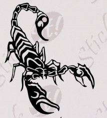 Tribal Scorpion_Sticker Auto_Perete_TRIB-046-Dimensiune: 35 cm. X 28 cm. - Orice culoare, Orice dimensiune foto