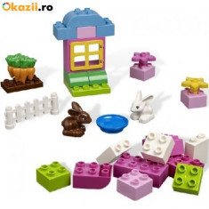 Lego Duplo 4623 DUPLO Pink Brick Box foto