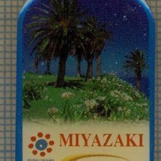 1784 INSIGNA - MIYAZAKI - KYUSHU-OKINAWA SUMMIT 2000 - NTT COMMUNICATIONS -TELECOMUNICATII -starea care se vede