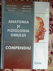 Anatomia si fiziologia omului/ compendiu-C.Niculescu,B.Voiculescu+colaboratori foto