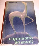 CAPRIOARA DE SMALT - Nicolae Teica