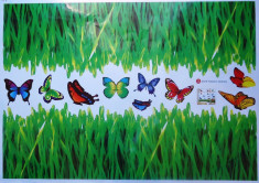 Sticker - autocolant decorativ pentru perete, model iarba si fluturi vii colorati foto