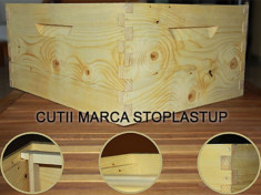 Cutii Apicole Stoplastup foto