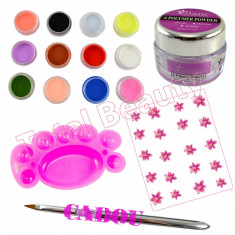 Kit Acryl Consumabile Color + CADOU Pensula Acryl pudra acrilica colorata tatuaj unghii paletar acryl foto