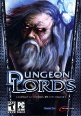 Dungeon Lords Joc PC foto