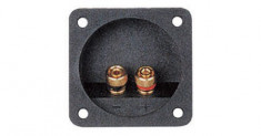 Conector Boxa 2 Terminale Gold foto