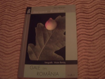 Gale din Romania - P. Neacsu foto