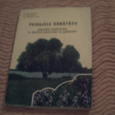 Peisajele sanatatii - plantele medicinale in decorul parcurilor si gradinilor - I. Roventa