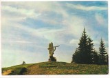 #carte postala(ilustrata)-SUCEAVA-Monomentul de la Ciumirna, Necirculata, Printata