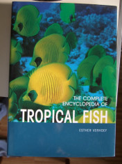 Pesti de Acvariu (Engleza) - Complete Encyclopedia of Tropical Fish foto