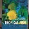 Pesti de Acvariu (Engleza) - Complete Encyclopedia of Tropical Fish