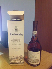 Delamain Grande Champagne Cognac 750ml foto