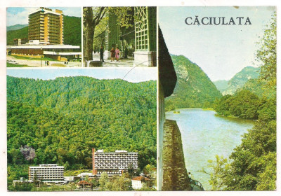 #carte postala(ilustrata)-CACIULATA-IMAGINI foto