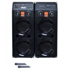 Sistem Karaoke boxe audio Temeisheng DP 2329 foto